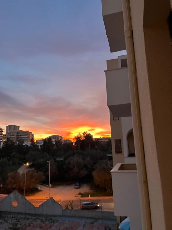 Rocha Apartment *